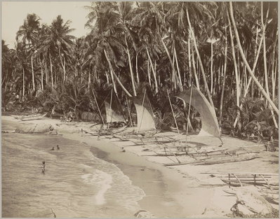EU: Strand met palmbomen en boten, Galle (1895), Galle, 1895
