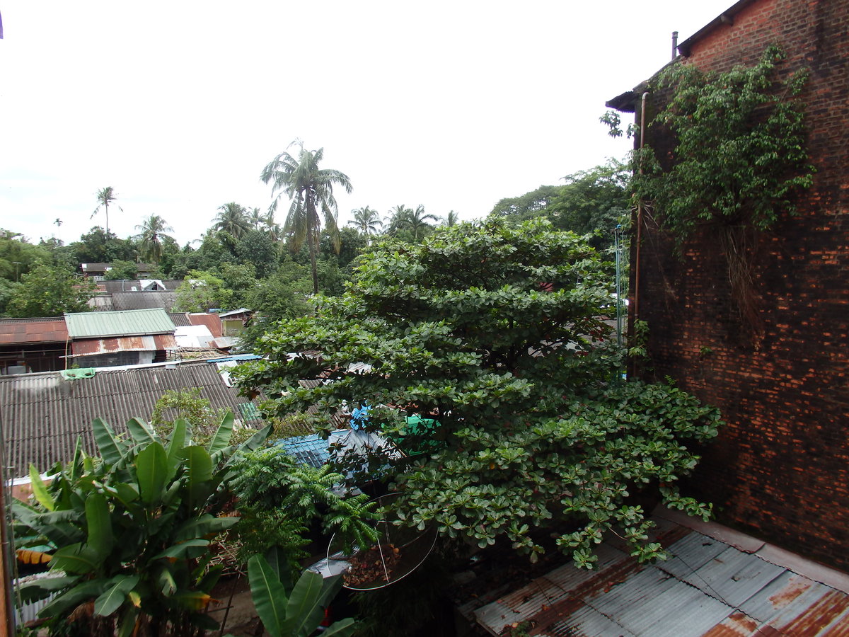 East Yankin, Yangon, Myanmar (Burma), Yangon, Myanmar, 2015