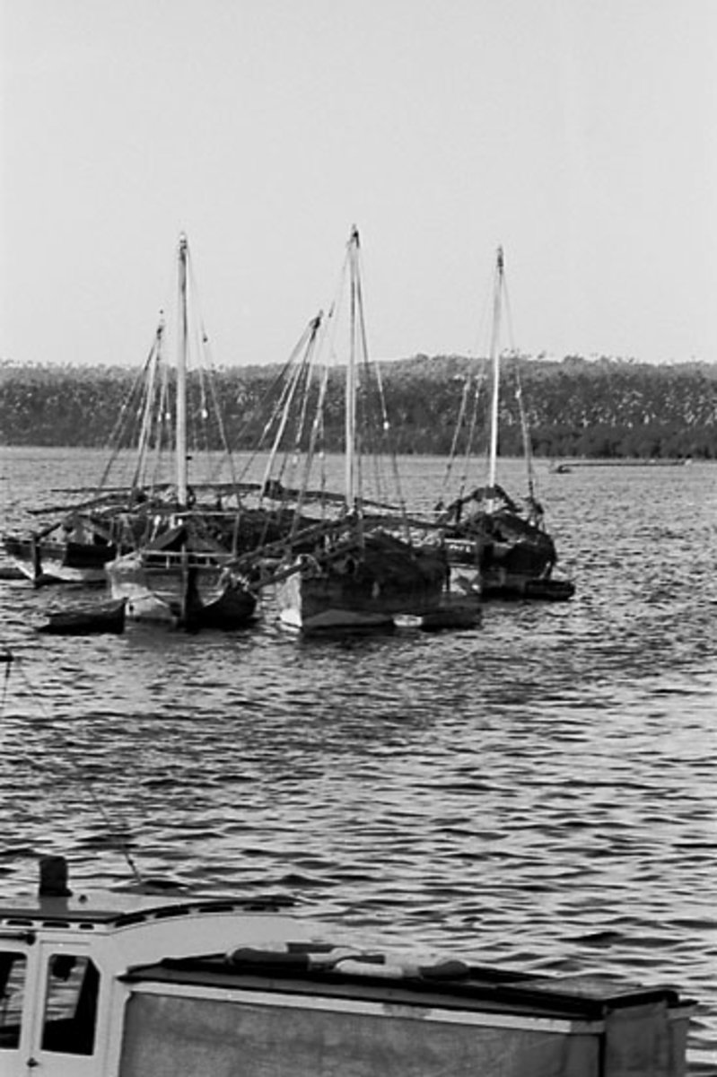 EU: Afrikaresa, Zanzibar - moored dhows on the water (1961), Zanzibar, Tanzania, 1961