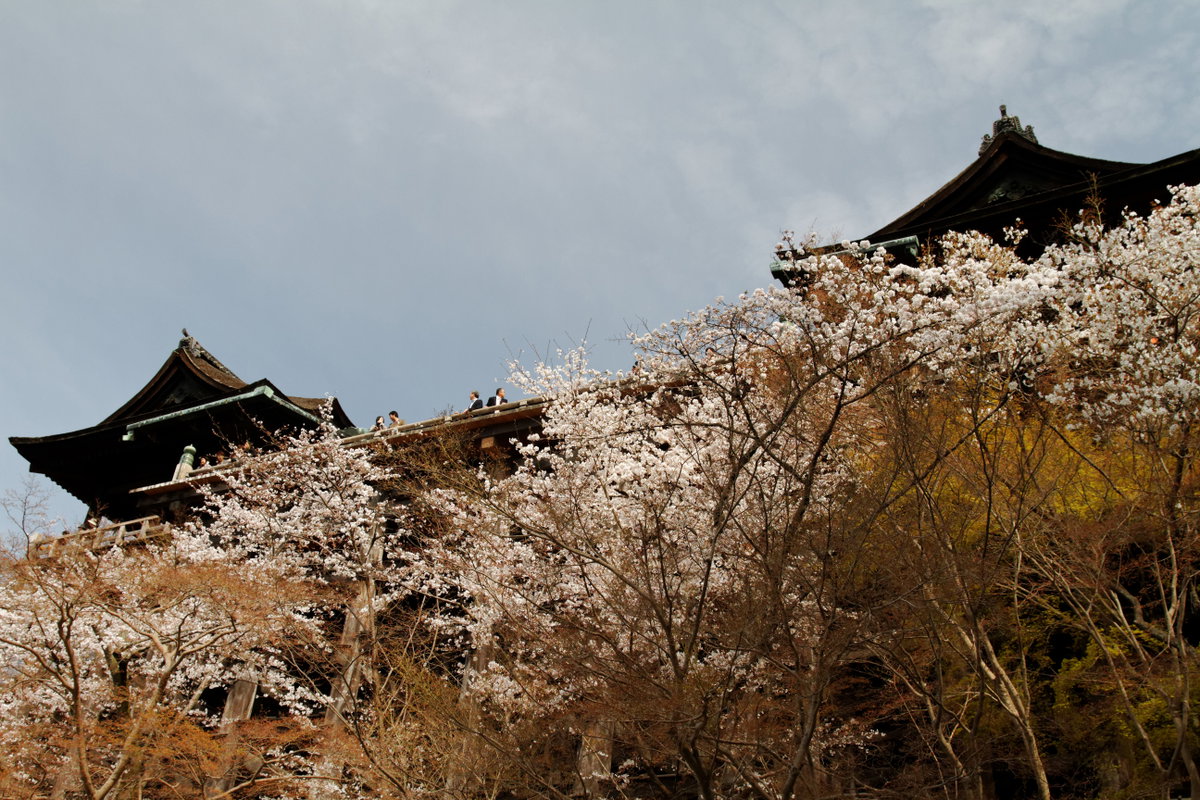 Kiyomizu dera, Kyoto, Japan, 2011