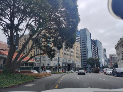 Mapillary (349276573468505, t5nqc5gmmyurknlocmdu5j) (elphix), Wellington, 2021