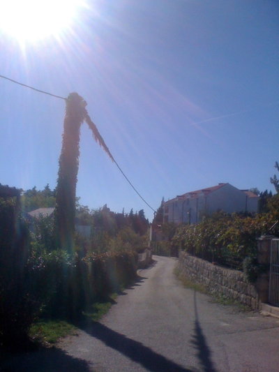 Bosanka, Dubrovnik, 2012