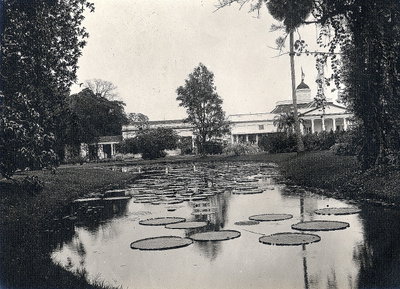 EU: Istana Bogor palace and lily pond (1913), Bogor, 1913