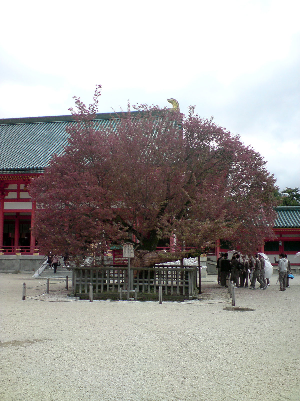 Kyoto Imperial Shrine, Kyoto, Japan, 2008