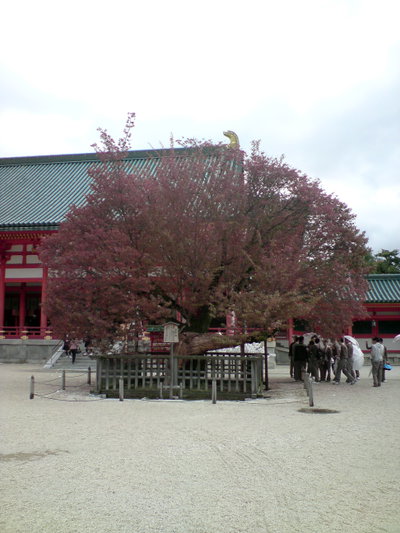 Kyoto Imperial Shrine, Kyoto, 2008