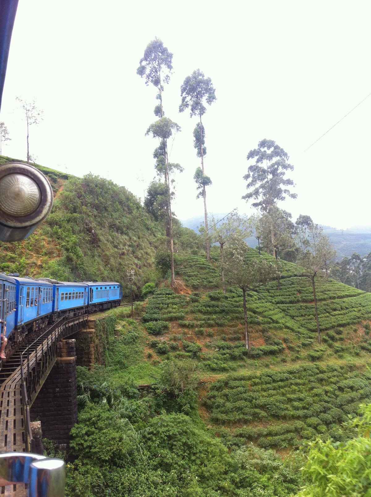 Nanuoya, Sri Lanka, Nuwara Eliya, Sri Lanka, 2014