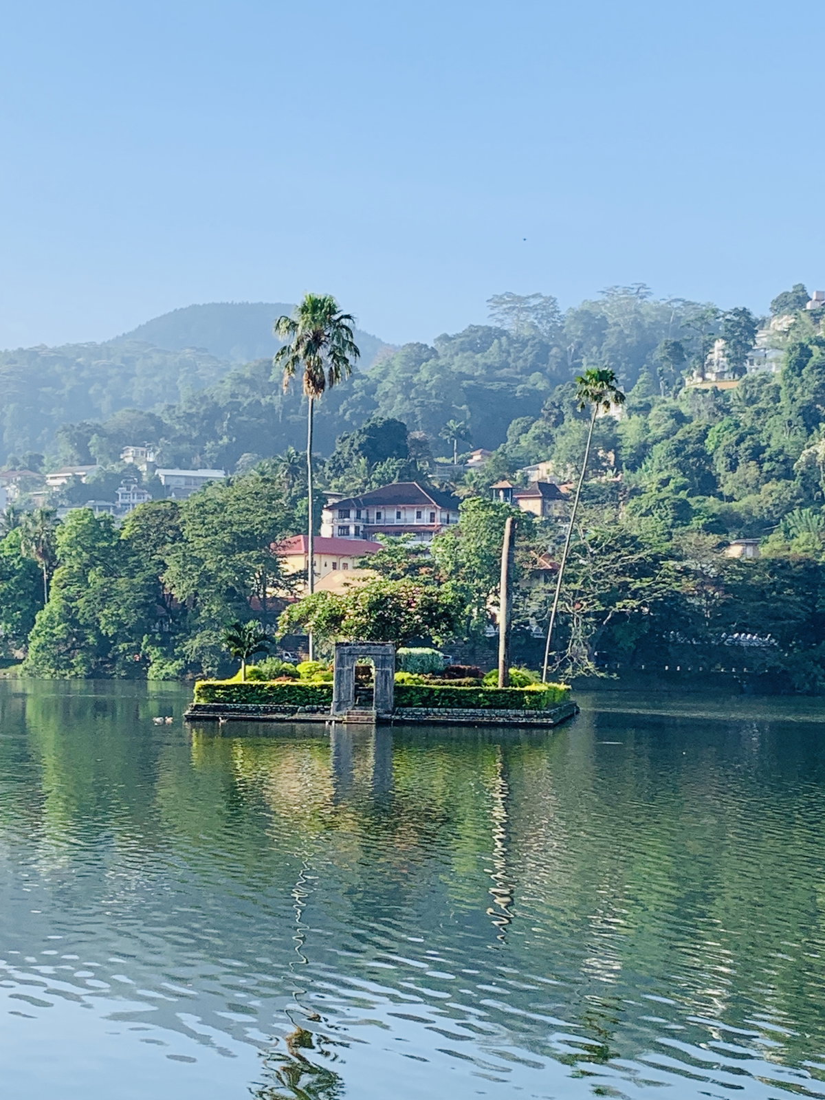 Standing up alone, Kandy, Sri Lanka, 2019