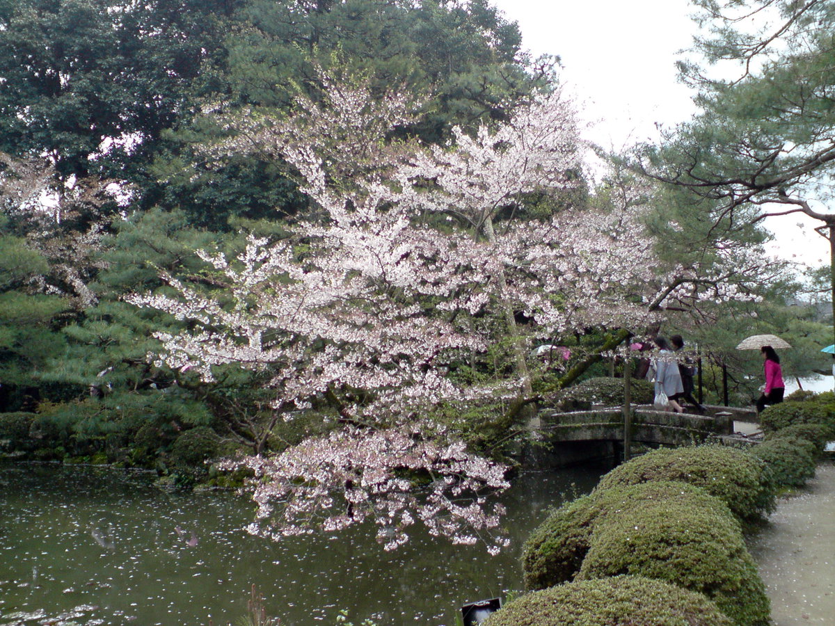 Kyoto Imperial Shrine Park, Kyoto, Japan, 2008