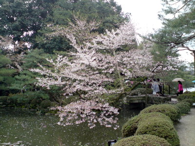 Kyoto Imperial Shrine Park, Kyoto, 2008