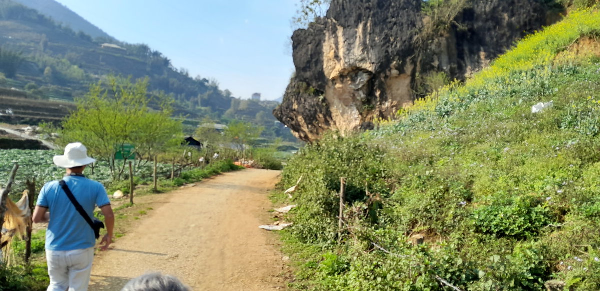 Ham Rong, Ta Phin, QL.4D.Sa Pa, rice fields (38755), Sa Pa, Vietnam, 2025