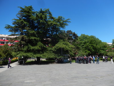 Stalin Park, ArmAg, Gori, 2016