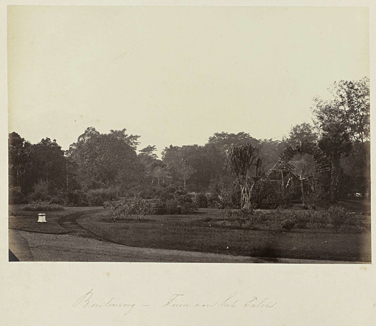 EU: Buitenzorg - Tuin van het Paleis (1863), Bogor, Indonesia, 1863