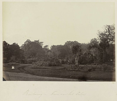 EU: Buitenzorg - Tuin van het Paleis (1863), Bogor, 1863
