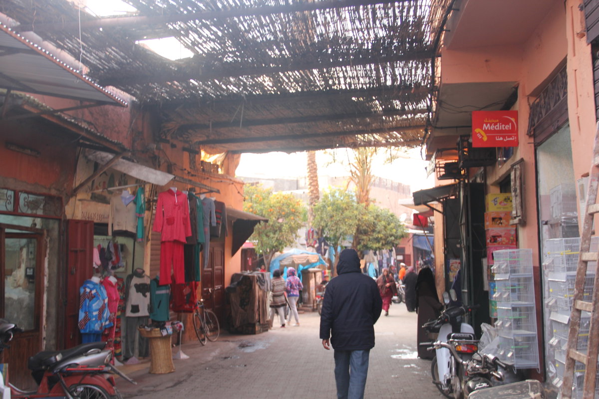 Marrakesh in 2015, Marrakesh, Morocco, 2015