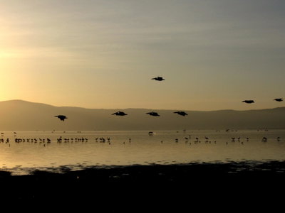 Sunrise at Lake Nakuru, Nakuru, 2009