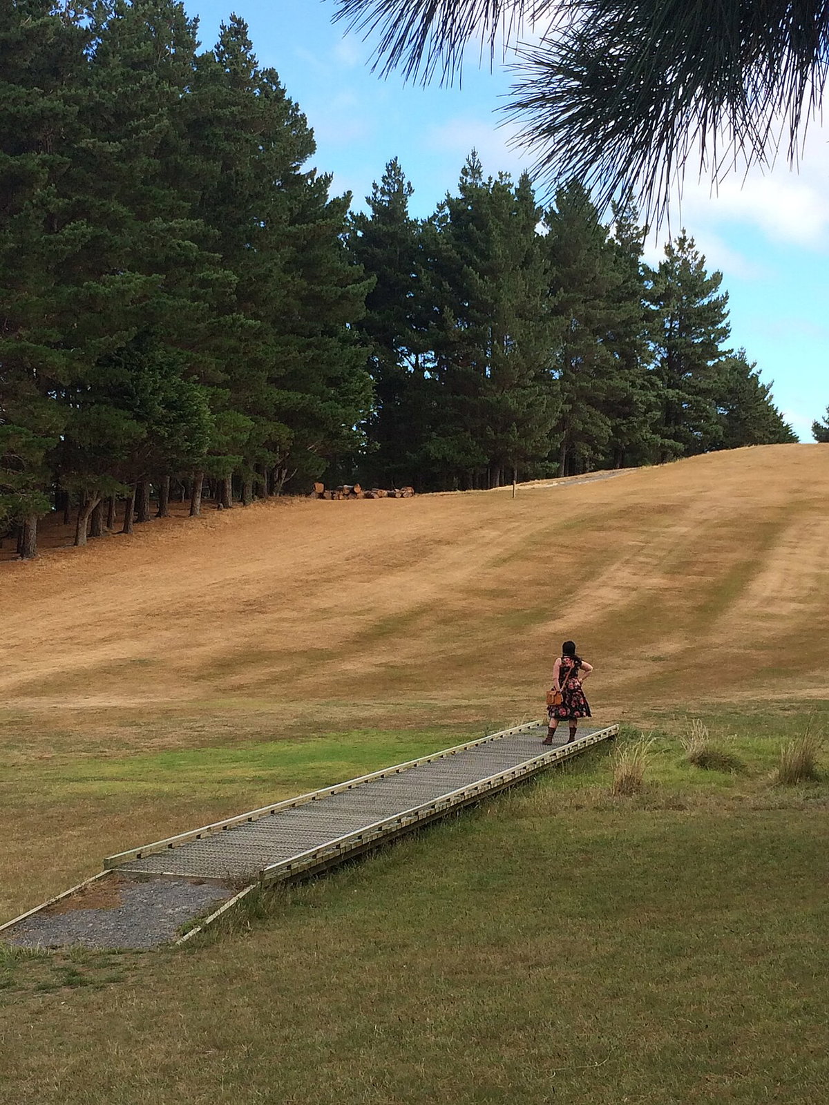 Into The Woods, Wellington, New Zealand, 2015