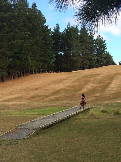 Into The Woods, Wellington, 2015