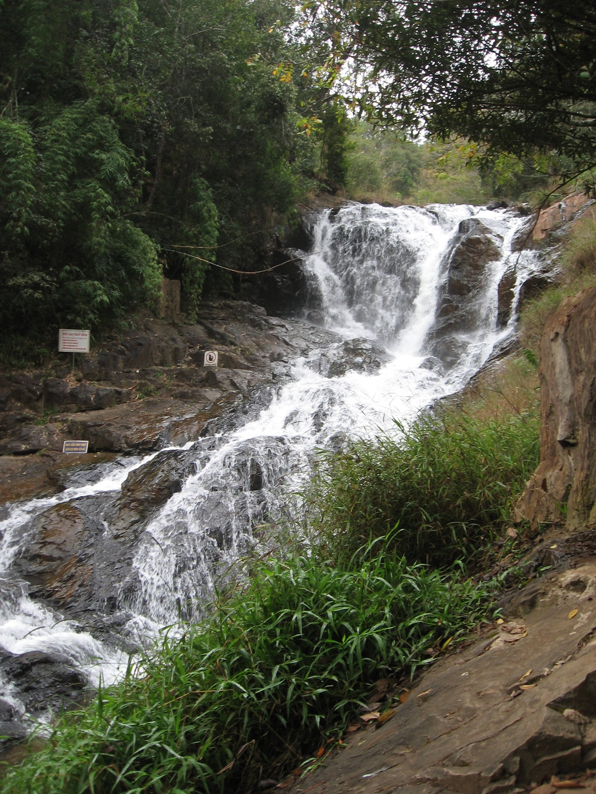 Đà Lạt, Da Lat, Vietnam, 2011