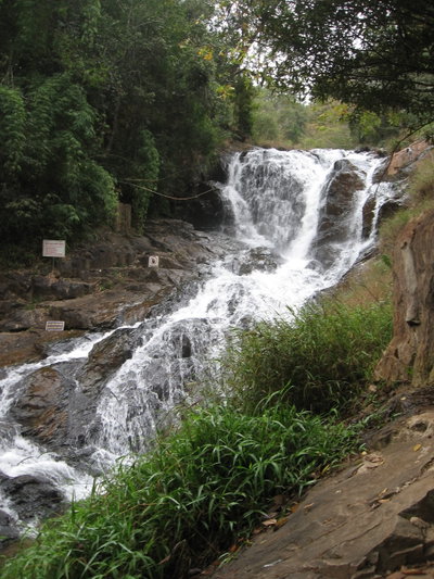 Đà Lạt, Da Lat, 2011