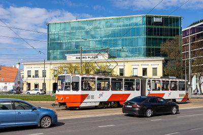 At Tallinn 2024 403, Tallinn, 2024