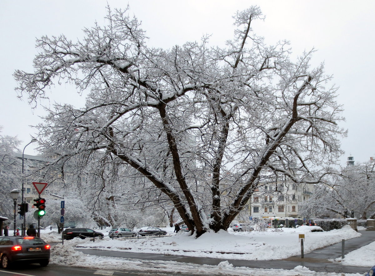 Park, Ljubljana, Slovenia, 2014