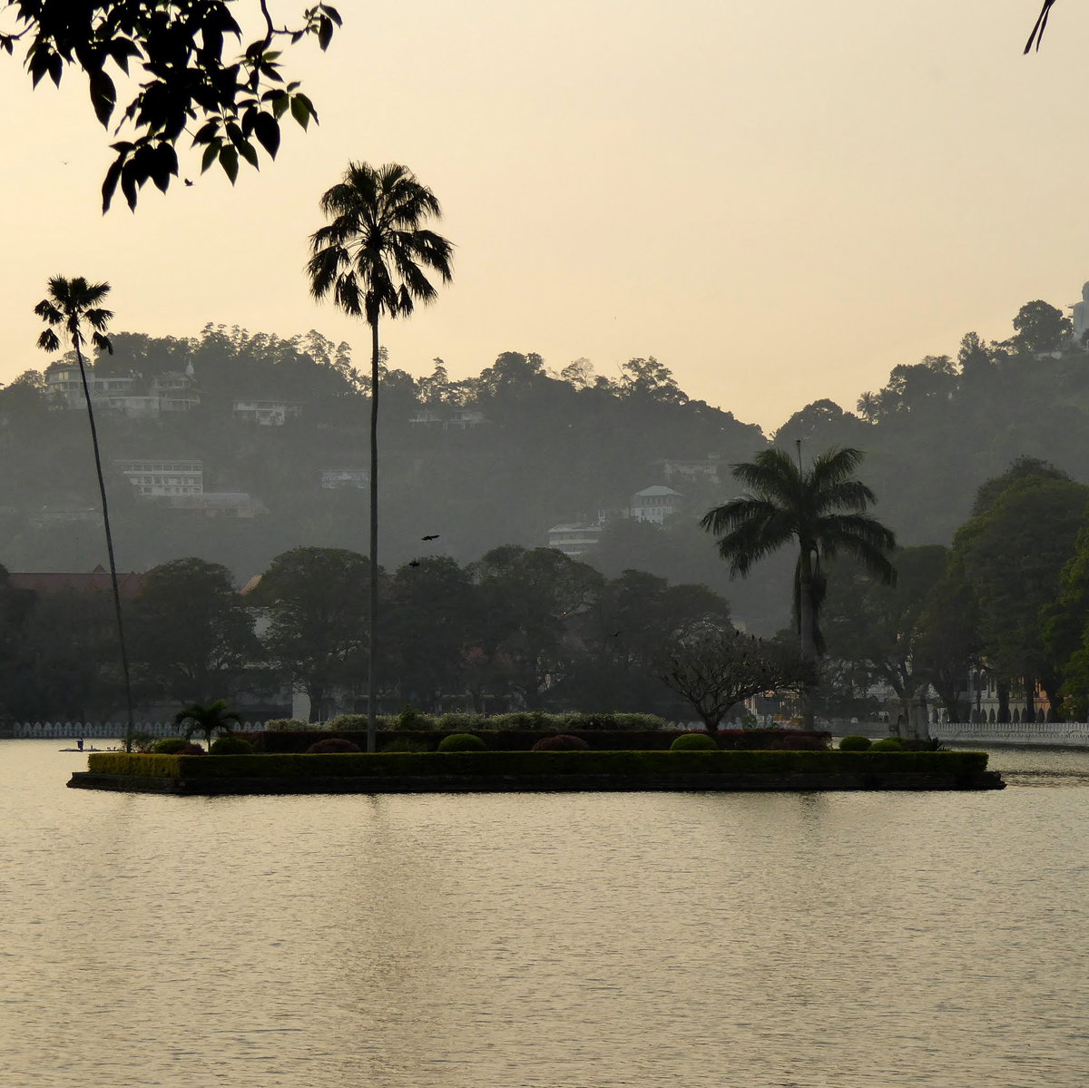 Island inside Kandy Lake. Кirimuhuda. නුවර වෑව, Sri Lanka, Kandy, Sri Lanka, 2015