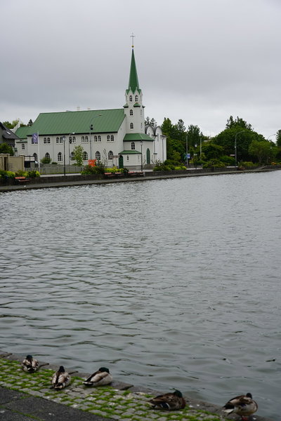 LakeTjornin, Reykjavik, 2019