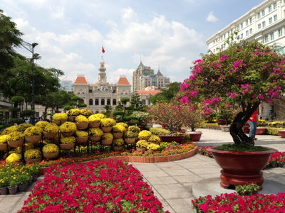 Duong hoa nguyen hue, Ho Chi Minh City, 2013