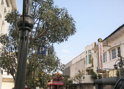 Jl. Braga, Bandung, Bandung, 2015