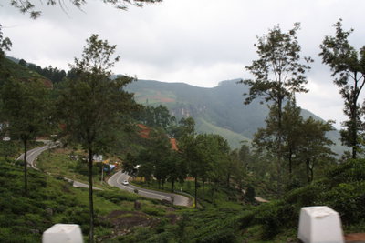 Raod to Nuwara Eliya, Nuwara Eliya, 2012