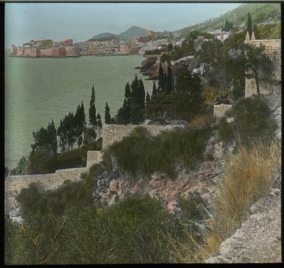 EU: Dubrovnik: coastal path with cypress trees (1900), Dubrovnik, 1900