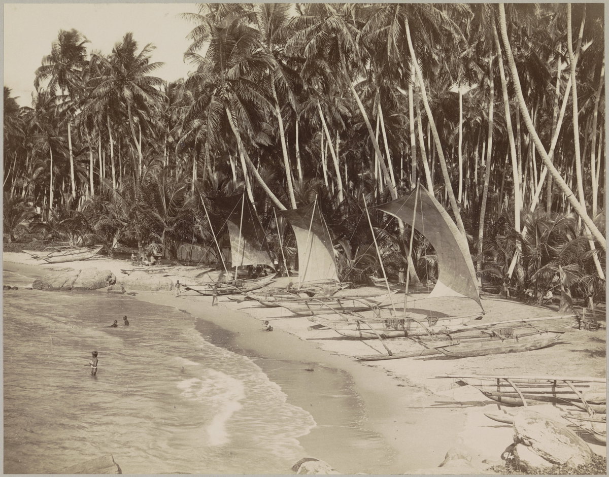 Strand met palmbomen en boten, Galle, Galle, Sri Lanka, 1905
