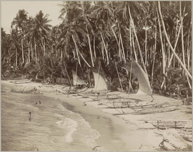 Strand met palmbomen en boten, Galle, Galle, 1905