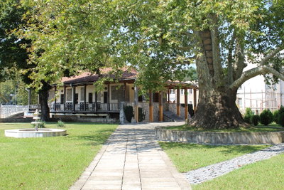 Okros chardakhi, Kutaisi, 2018