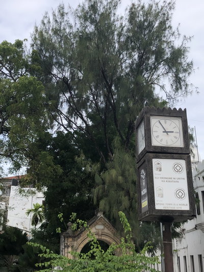Stone Town 2022 175, Stone Town — photos through time