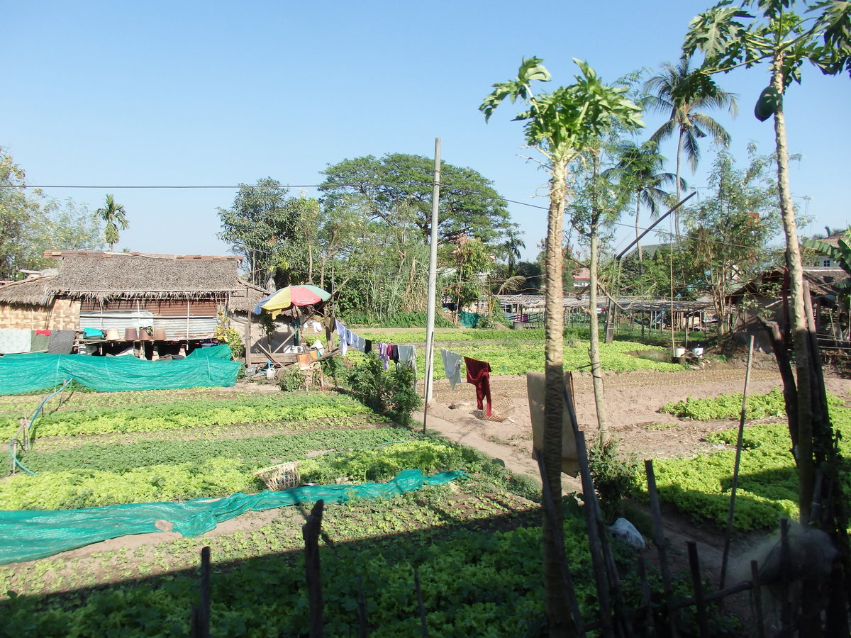 Wai Za Yan Tar Housing, Yangon, Myanmar (Burma), Yangon, Myanmar, 2015