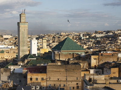 La médina de Fès vue de la terrasse, Fez, 2009
