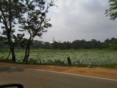 Dagaba in Anuradhapura, Anuradhapura, 2018