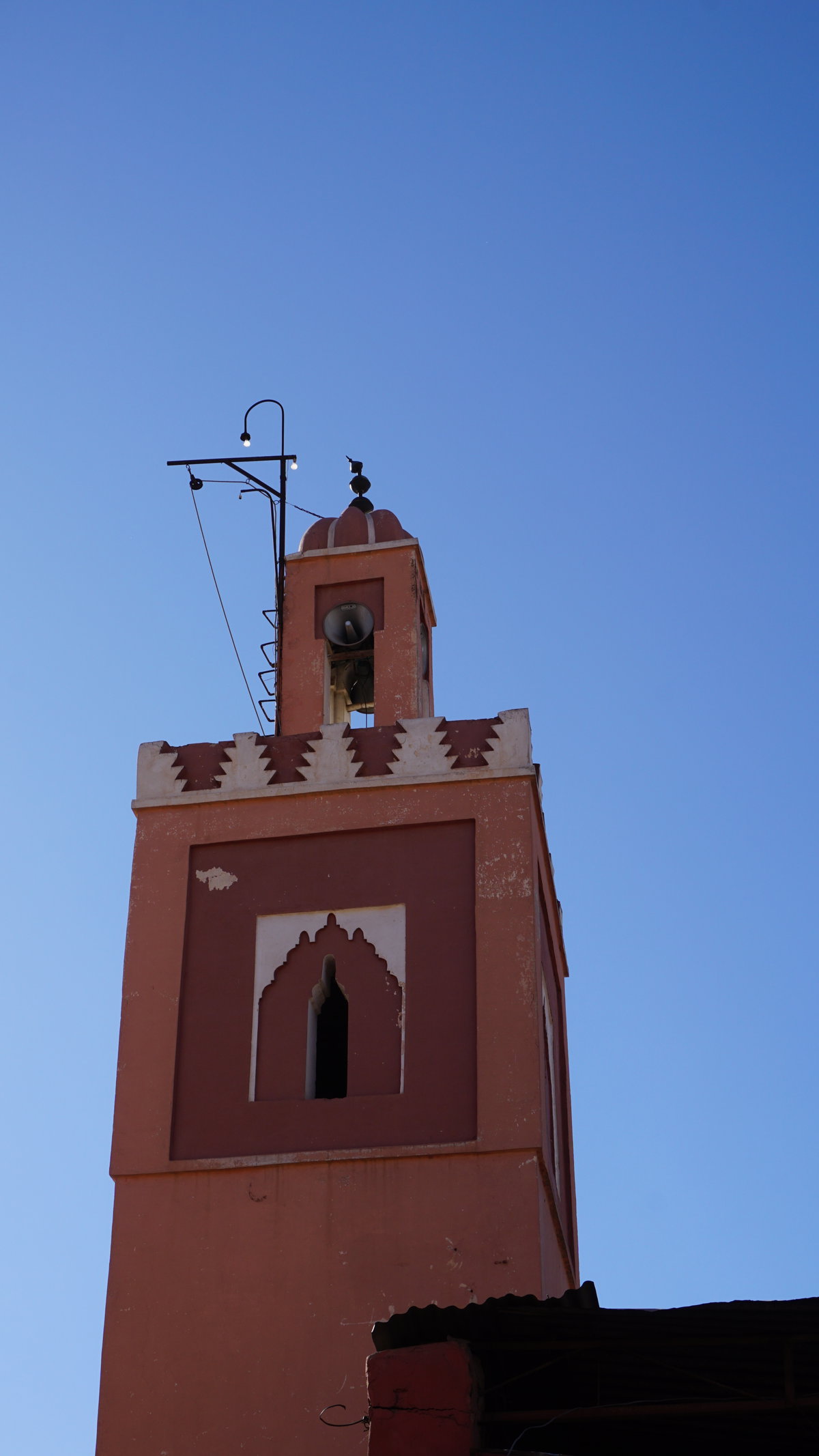 THE GANG in 2016, Marrakech, Morocco, 2016