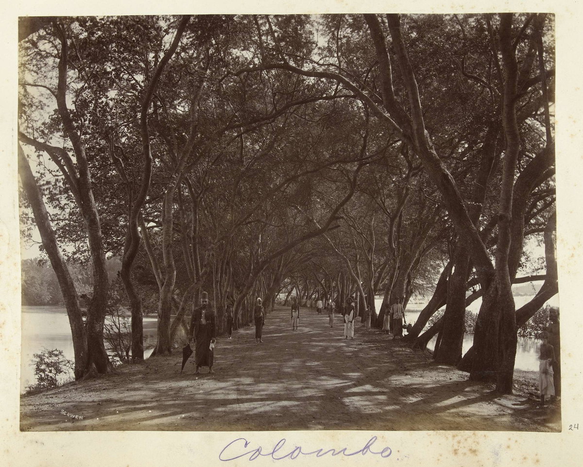 EU: Straatgezicht in Colombo (1900), Colombo, Sri Lanka, 1900