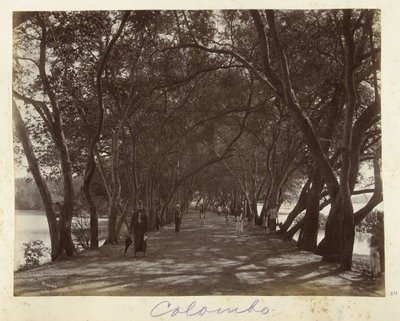 EU: Straatgezicht in Colombo (1900), Colombo, 1900