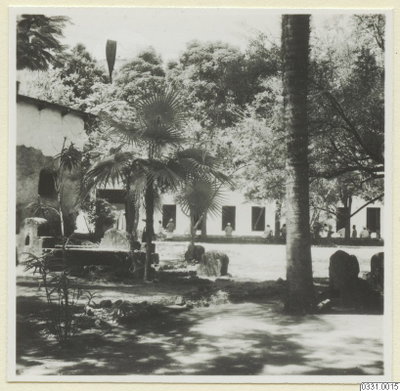 EU: Courtyard with palm trees, Zanzibar (1933), Zanzibar (Stone Town), 1933