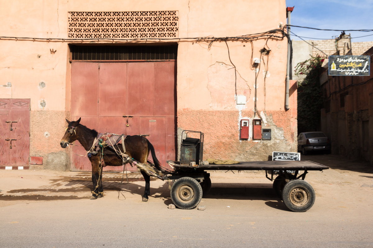 Medina of Marrakech, Marrakech, Morocco, 2015