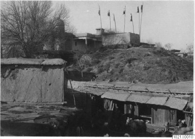 EU: hus, träd, fotografi, photograph (1893), Tashkent, 1893