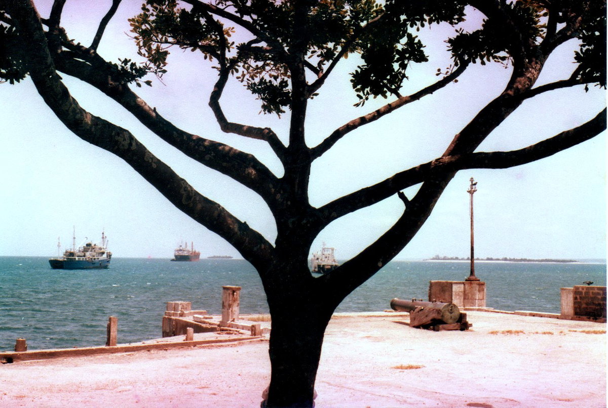 Forodhani, Zanzibar, Zanzibar (Stone Town), Tanzania, 2008