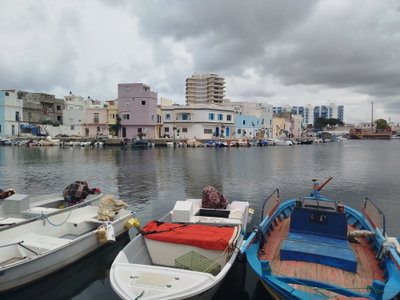 Vieux port de bizerte, Bizerte, 2025