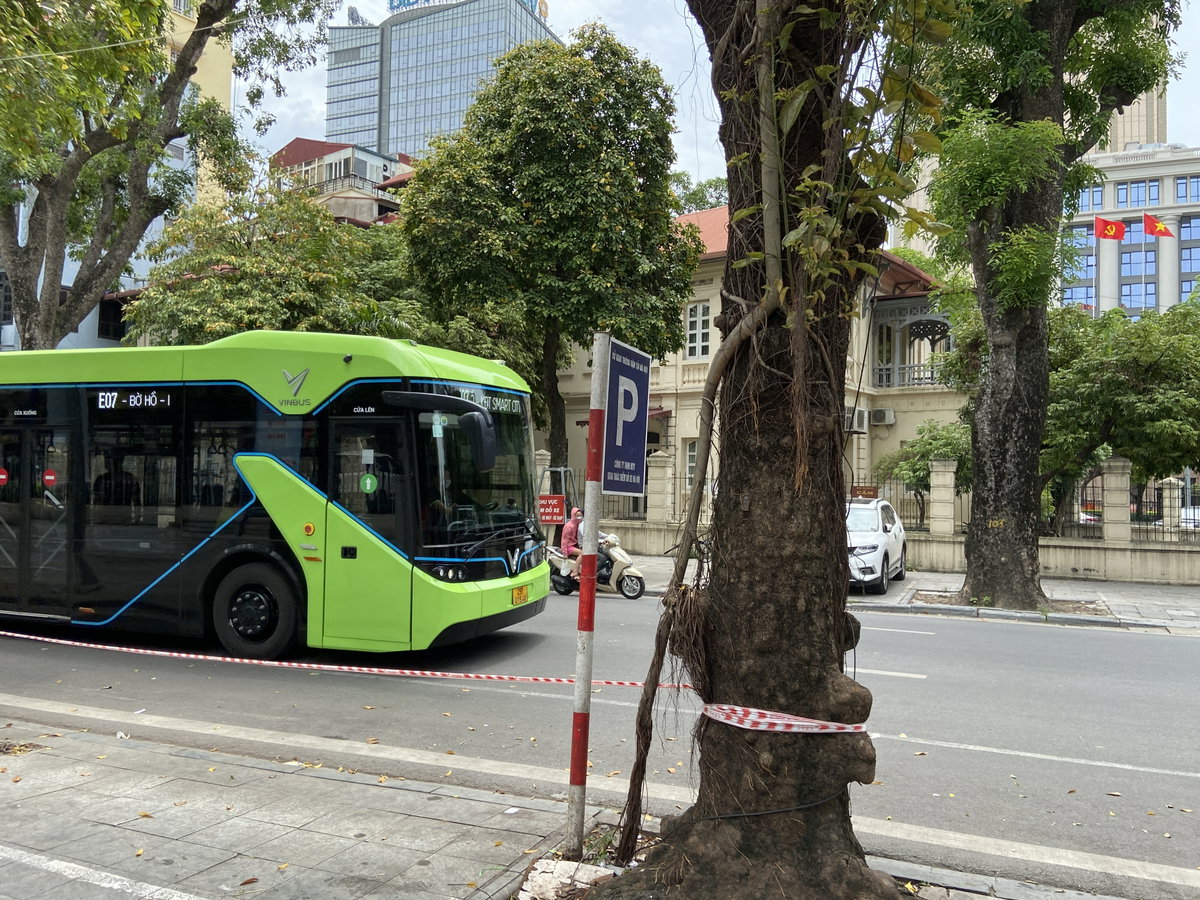 Lý Thái Tổ Street, Hanoi 05, Hanoi, Vietnam, 2022