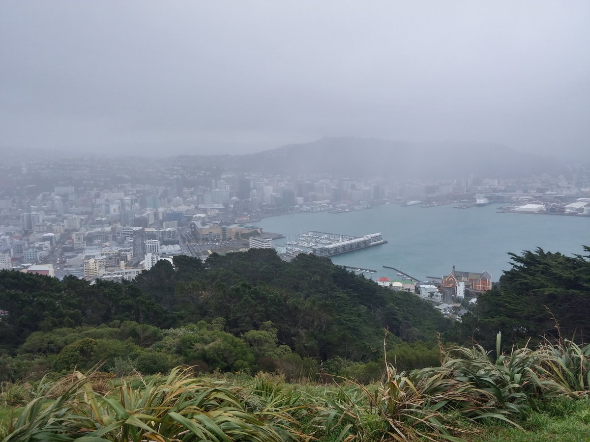 Rain in Wellington, Wellington, New Zealand, 2014