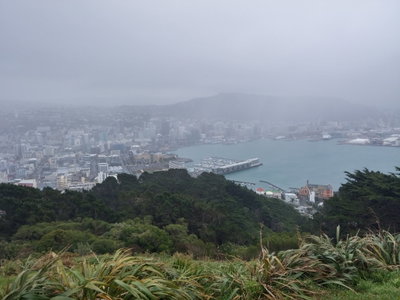 Rain in Wellington, Wellington, 2014