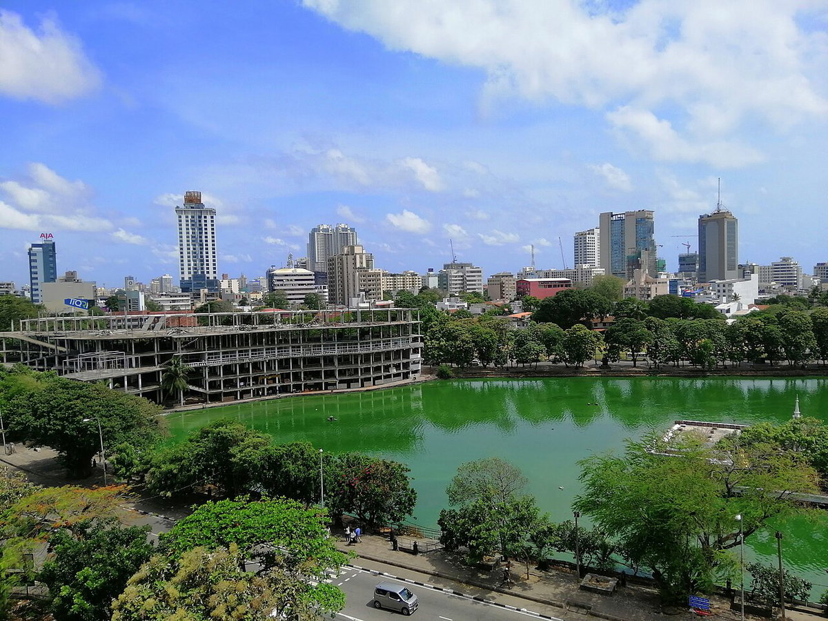 Colombo Nature, Colombo, Sri Lanka, 2019